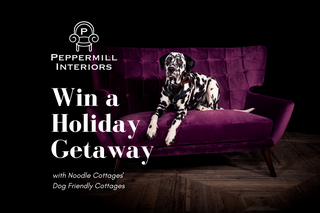 Pets of Peppermill Competition