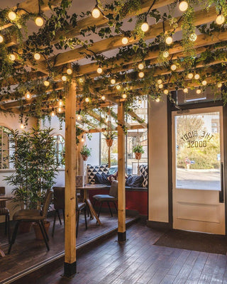 The Giddy Goose and The White Goose, Dundee