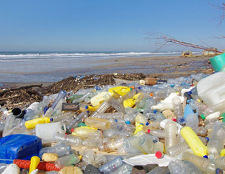 MAKING A MORE SUSTAINABLE FUTURE