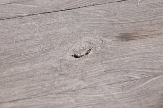 whitewashed-oiled-finish-close-up