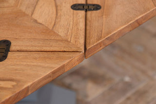 close-up-of-leave-hinge