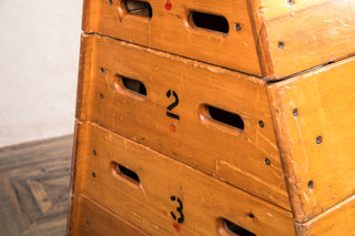 1960s vaulting horse