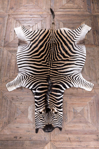 1960s-zebra-hide-rug