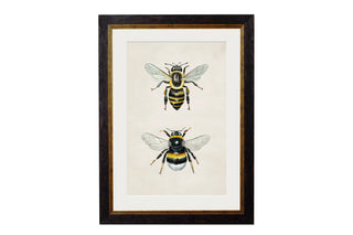 Vintage Style Bee Framed Art Range