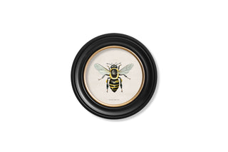 Vintage Style Bee Framed Art Range
