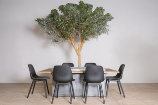 Olive Tree Dining Table