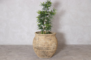 large-concrete-pot