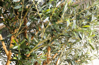 Olive Tree Dining Table