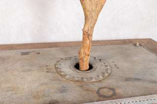 Olive Tree Dining Table