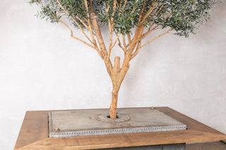 Olive Tree Dining Table