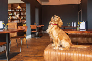 Salcombe Leather Dining Bench