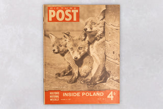 Set of 14 Vintage Picture Post Magazines