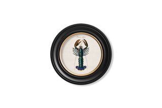 Vintage Style Marine Framed Art Range