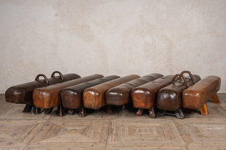 assortment-of-pommel-horses