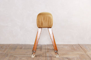 Vintage Pommel Horse