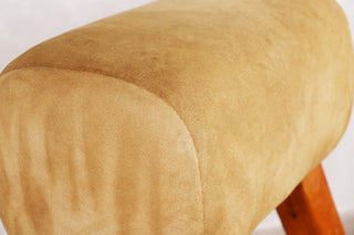 Vintage Pommel Horse