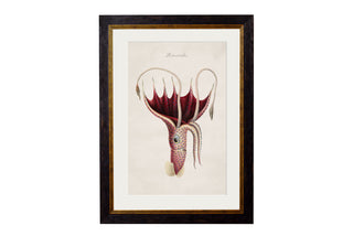 Vintage Style Marine Framed Art Range