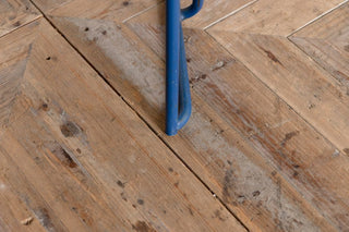 close-up-of-blue-leg