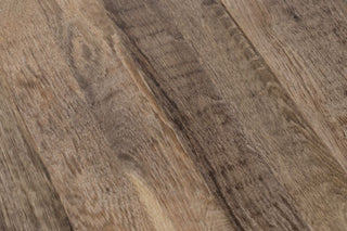 silverback-top-close-up