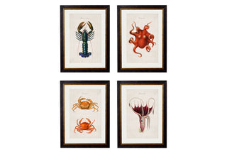 Vintage Style Marine Framed Art Range