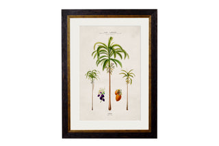 Vintage Style Botanical Framed Art Range