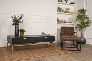 arizona coffee table