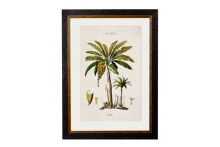 Vintage Style Botanical Framed Art Range