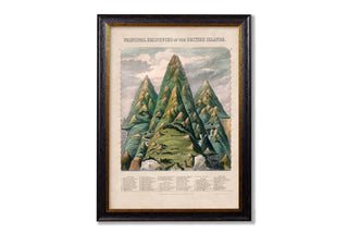 Vintage Style Botanical Framed Art Range