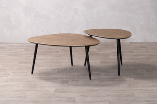 brocton-coffee-table-set-of-2