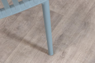 california-garden-chair-sea-sage-close-up