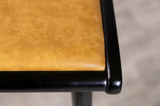 Chameleon Stool Range