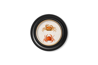 Vintage Style Marine Framed Art Range