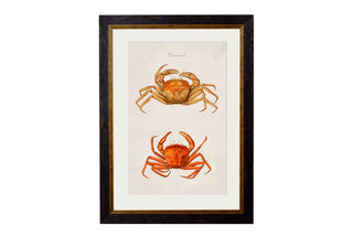 Vintage Style Marine Framed Art Range