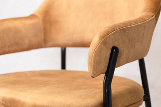 galaxy-dining-chair-tarnished-gold-backrest