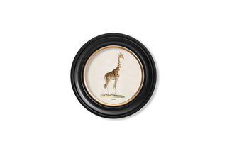 Vintage Style Safari Animals Framed Art Range