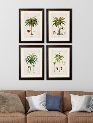 Vintage Style Botanical Framed Art Range