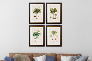 Vintage Style Botanical Framed Art Range