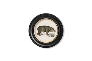 Vintage Style Safari Animals Framed Art Range