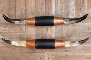 vintage-steer-horns