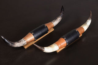 vintage-steer-horns