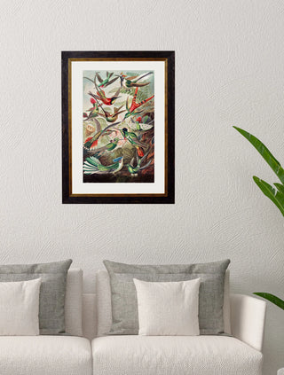 Vintage Style Birds of America Framed Art Range