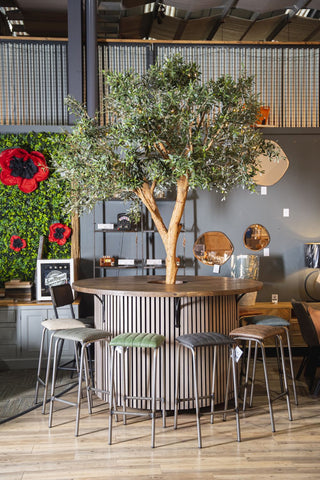 Olive Tree Bar Table - 2.3m Tree