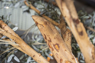 Olive Tree Bar Table - 2.3m Tree