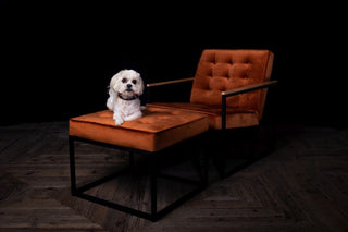 Denver Velvet Armchair Range