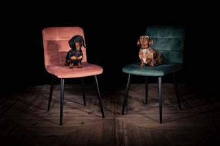 Pair of Velvet Dining Room Chairs