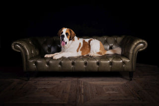Hathaway Leather Chesterfield Sofa