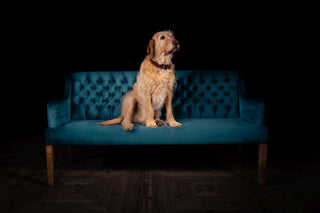 Marseille Velvet Dining Bench Range