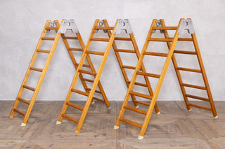 large-gymnasium-trestles