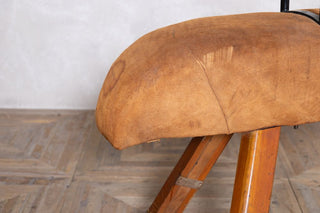 large-pommel-horse-close-up