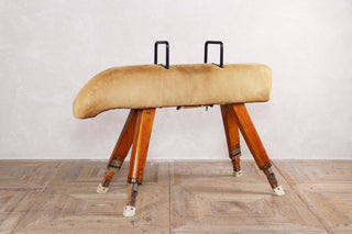 Vintage Pommel Horse